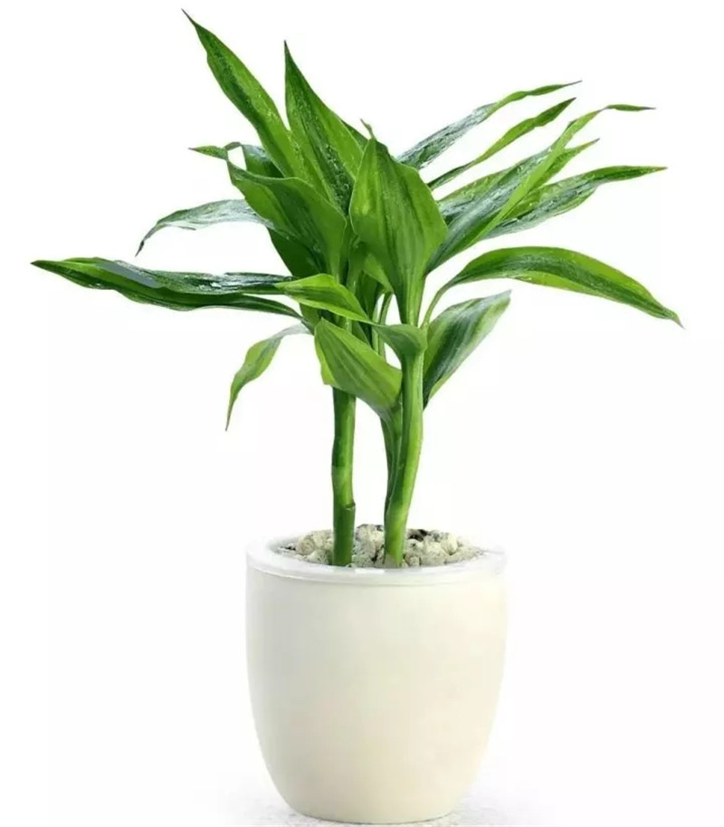 鄭州家裝公司幫您搞好裝修風(fēng)水,從此順風(fēng)順?biāo)? style=